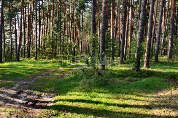 Фото маршрута