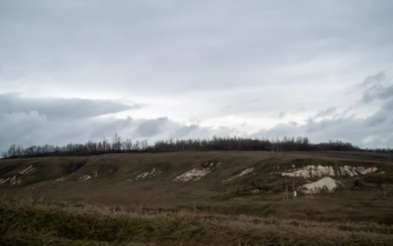 Беленихино-Сажное -2