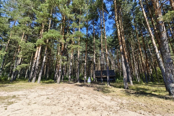 Фото маршрута