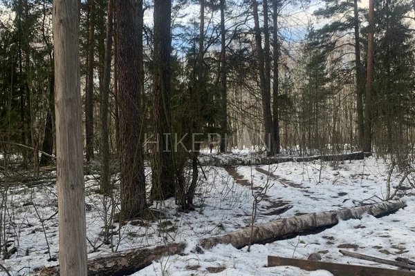 Фото маршрута