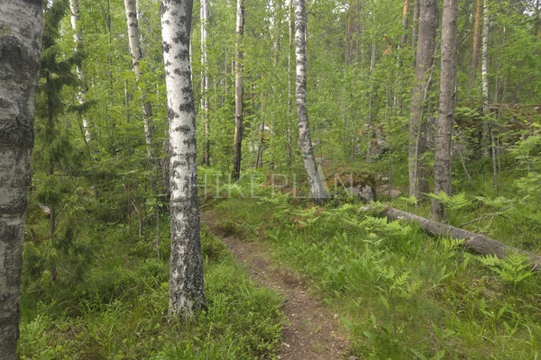 Фото маршрута