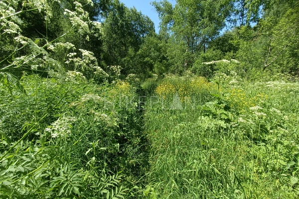 Фото маршрута