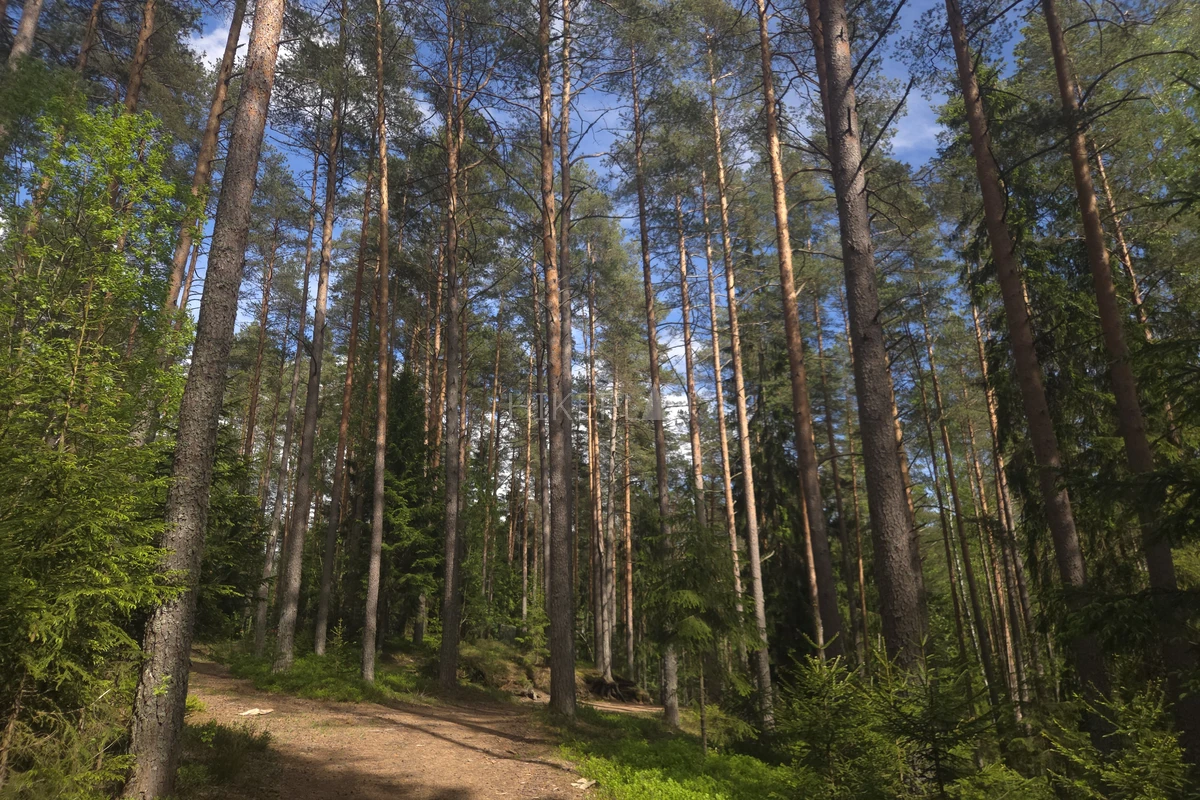 Фото маршрута