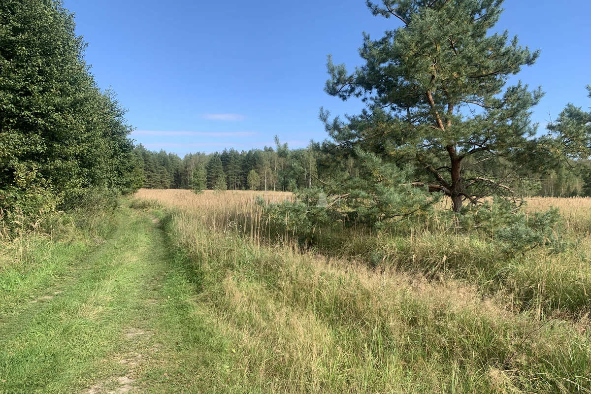 Фото маршрута