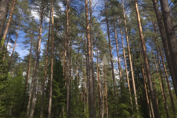 Фото маршрута