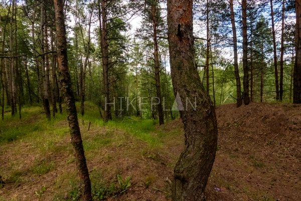 Фото маршрута