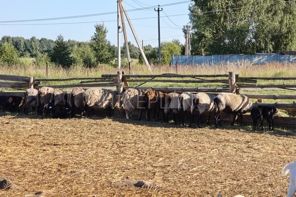 Фото маршрута