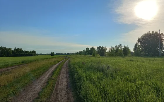 Боровое