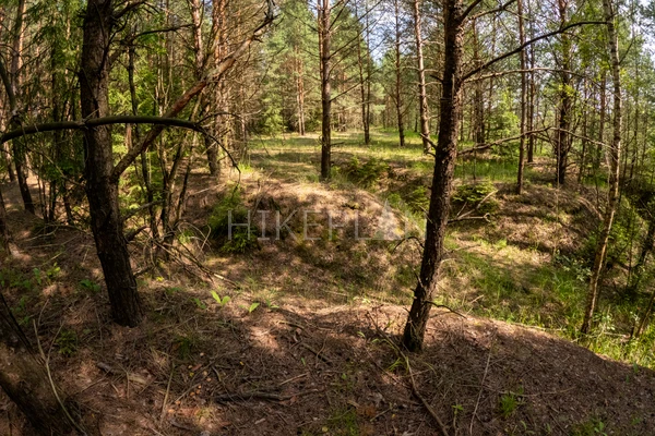 Фото маршрута