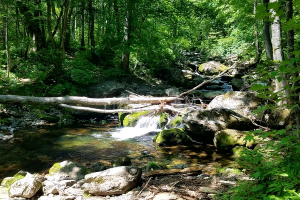 Фото похода