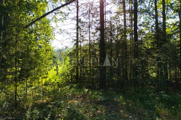 Фото маршрута