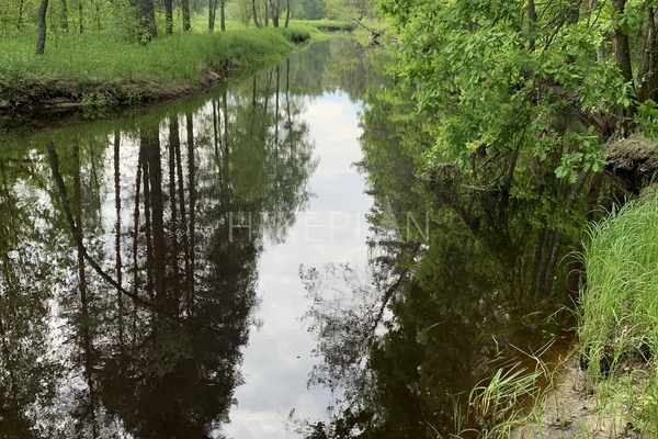 Фото похода