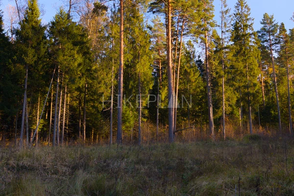 Фото маршрута