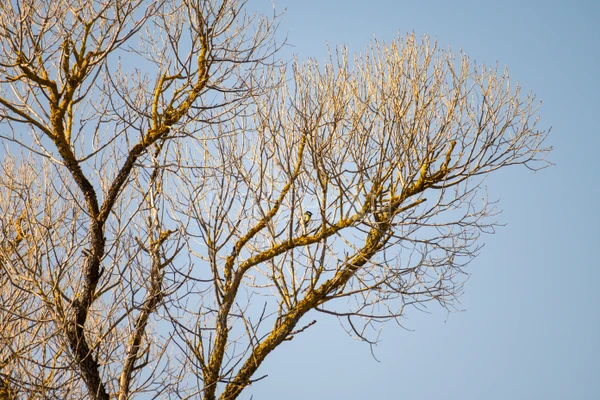 Фото маршрута