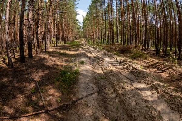 Фото маршрута