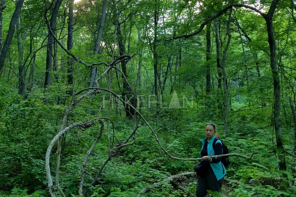 Фото маршрута