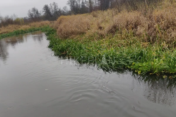 Фото похода