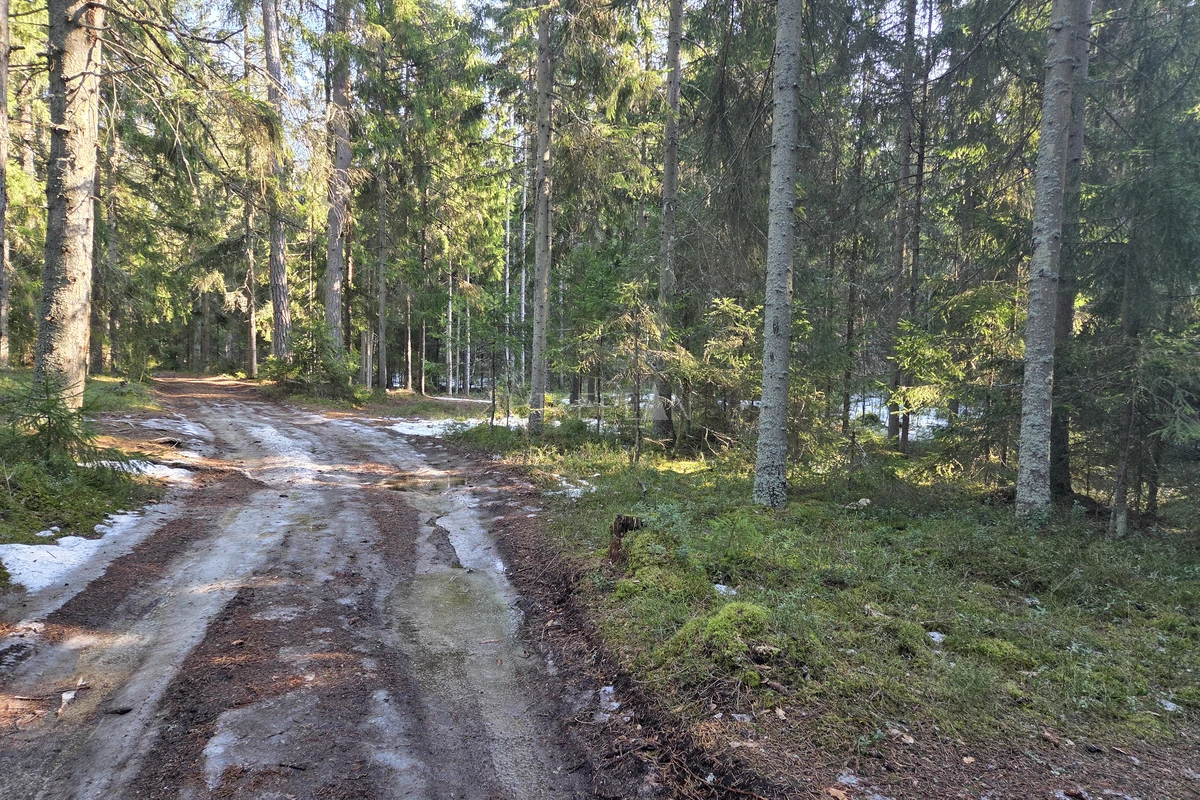 Фото маршрута