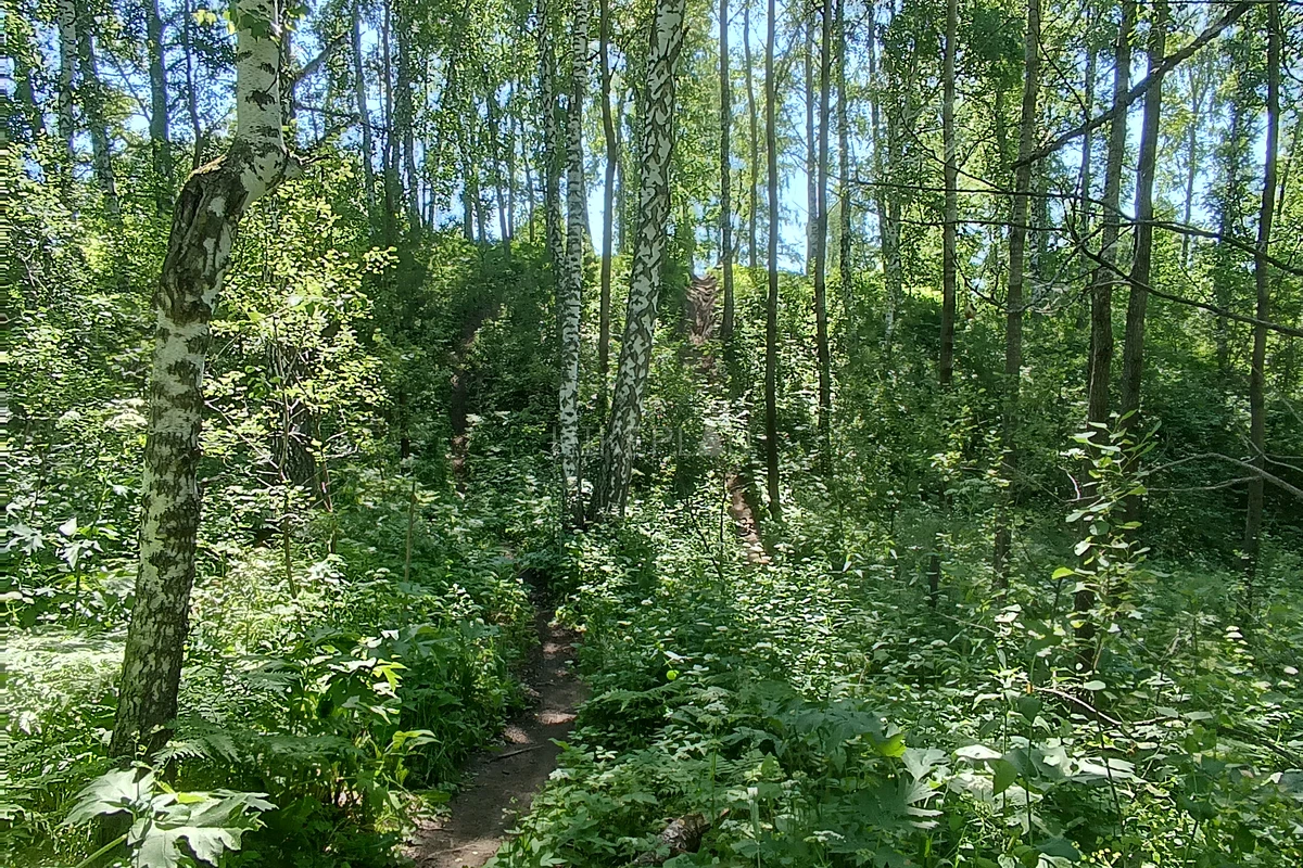 Фото маршрута