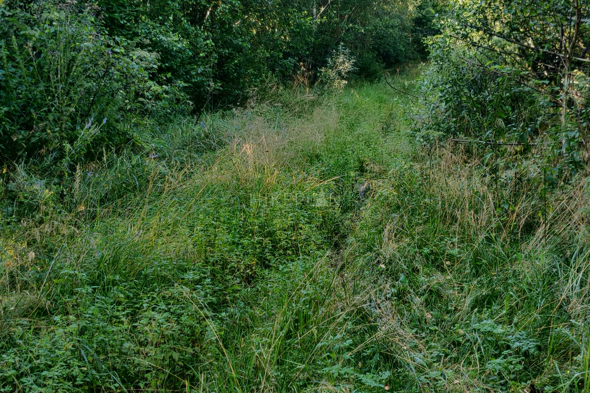 Фото похода