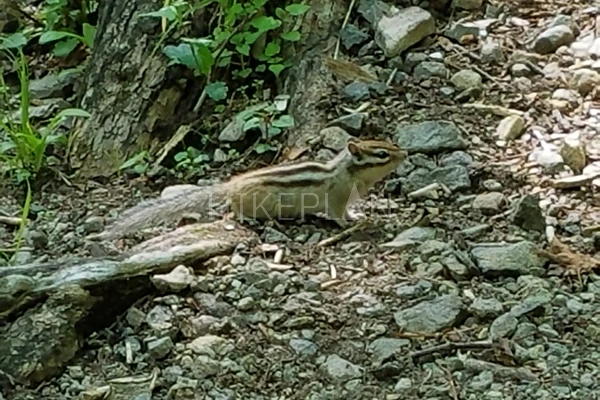 Фото похода