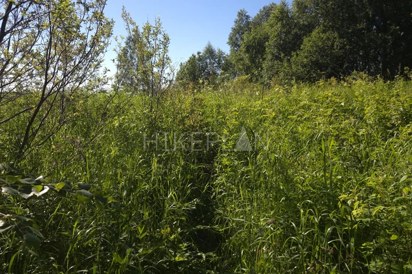 Фото маршрута