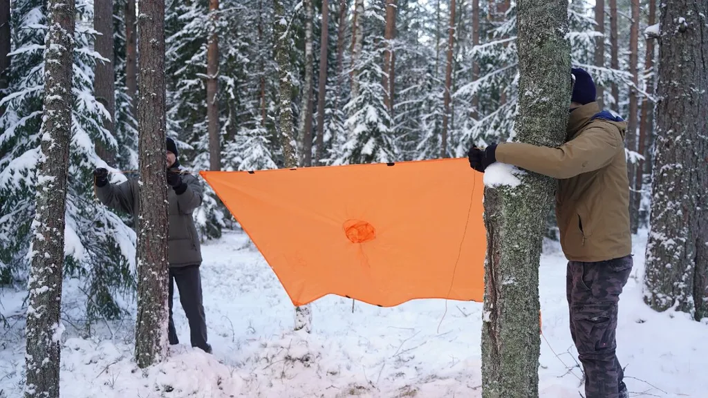 -6