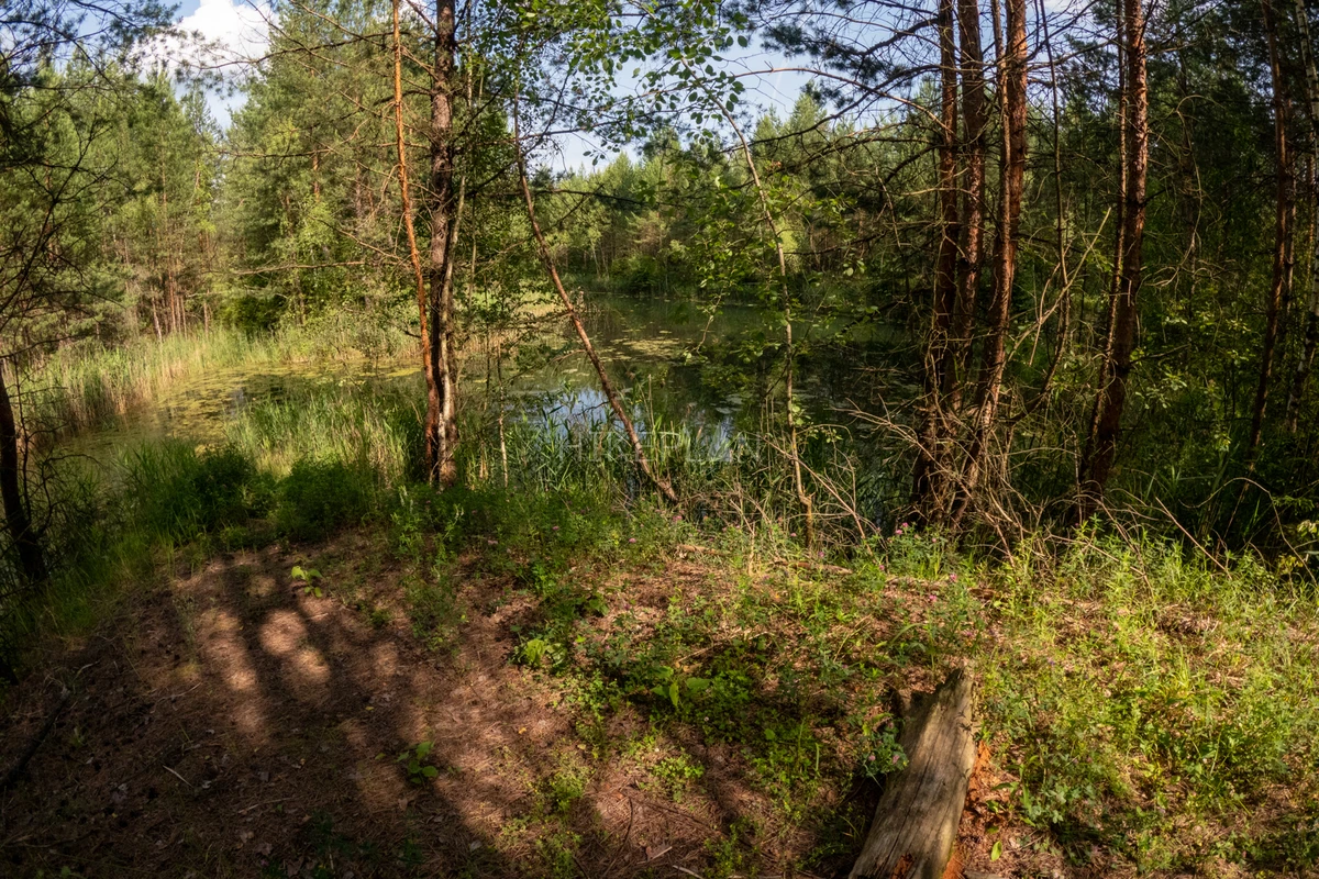 Фото маршрута