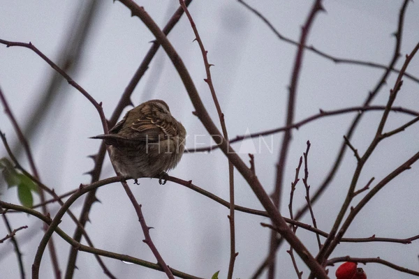 Фото похода