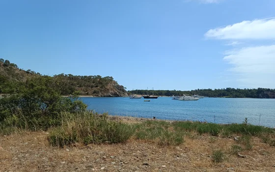Фазелис