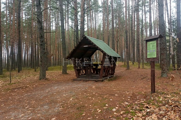 Фото маршрута