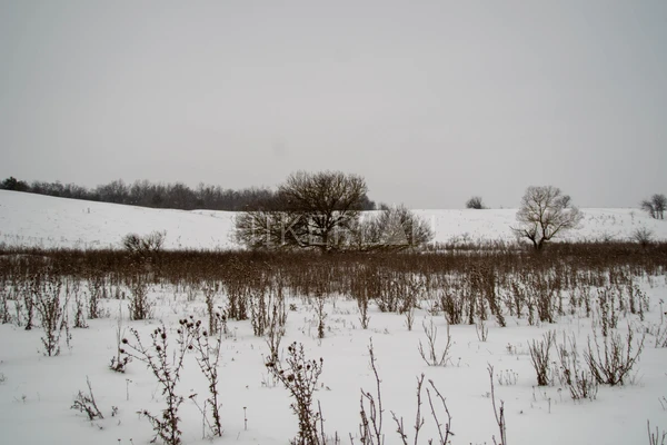 Фото маршрута