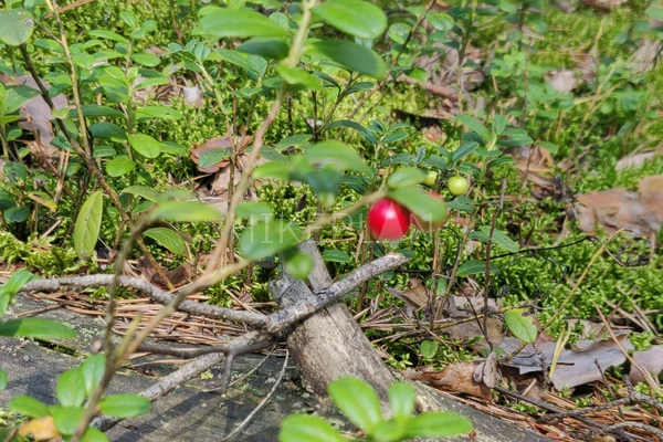 Фото маршрута