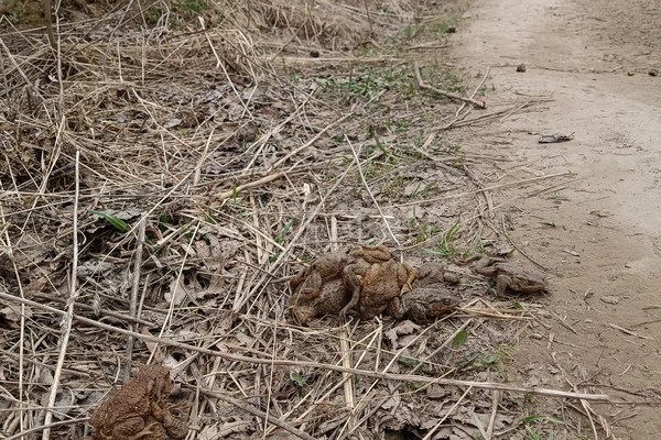 Фото маршрута