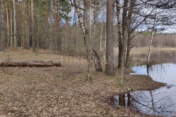 Фото похода