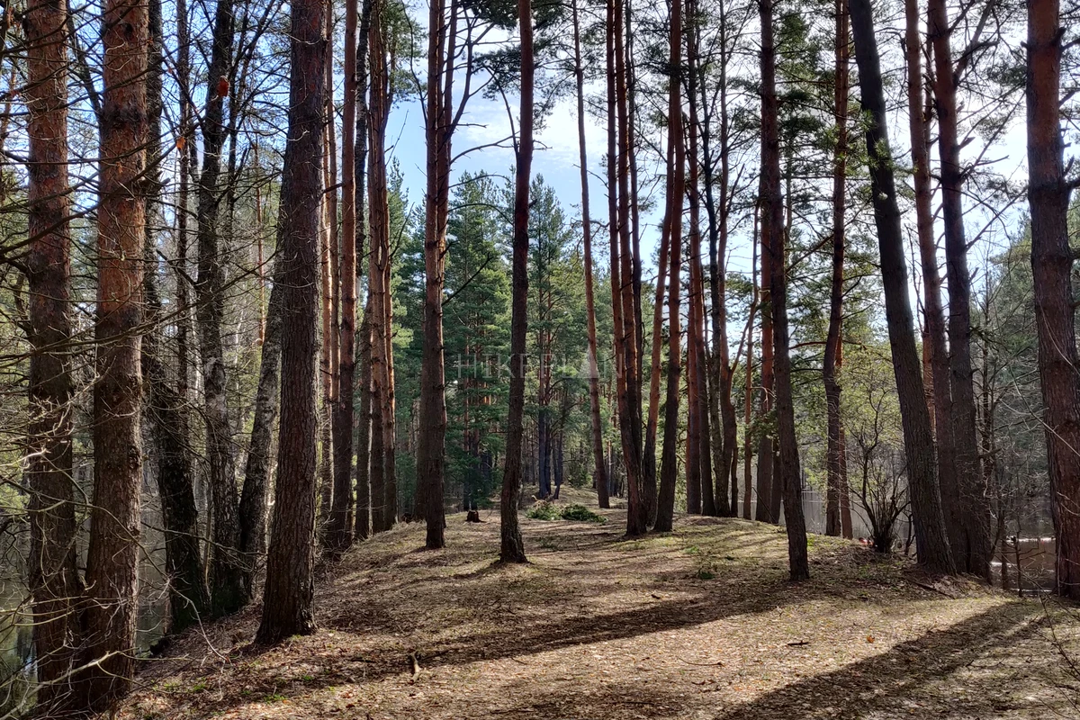 Фото маршрута