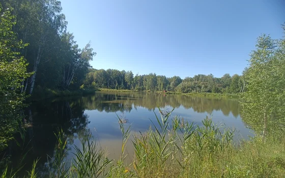 ПВД 08.08