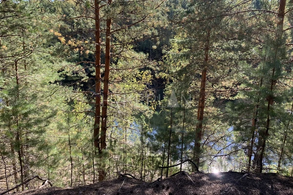 Фото похода