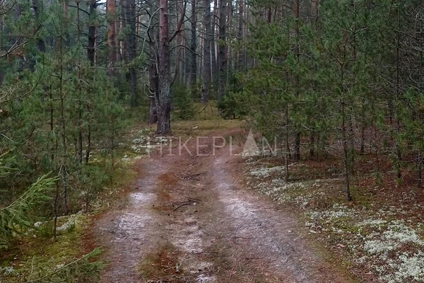 Фото маршрута