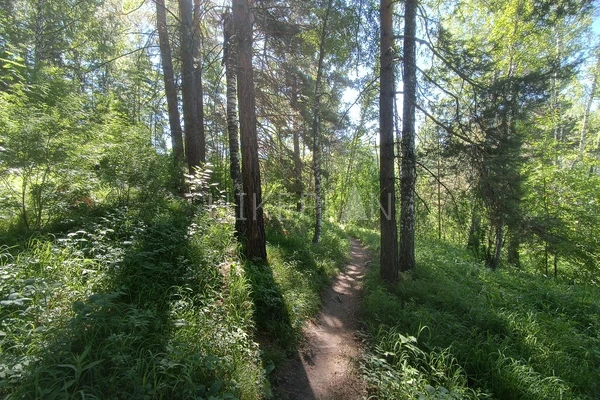 Фото маршрута