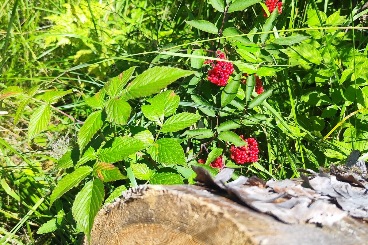 Фото маршрута