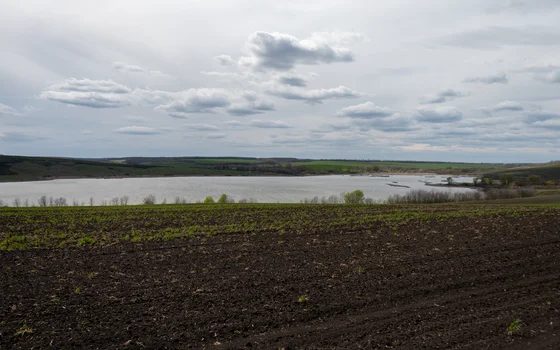 Беленихино-Сажное 3