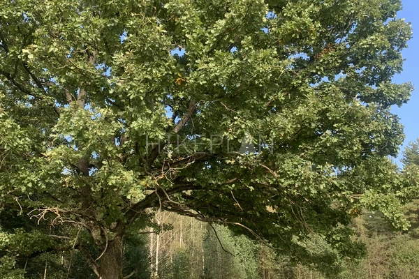 Фото похода