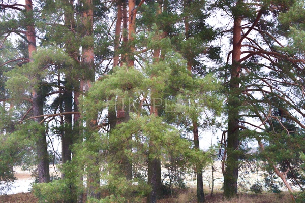 Фото маршрута