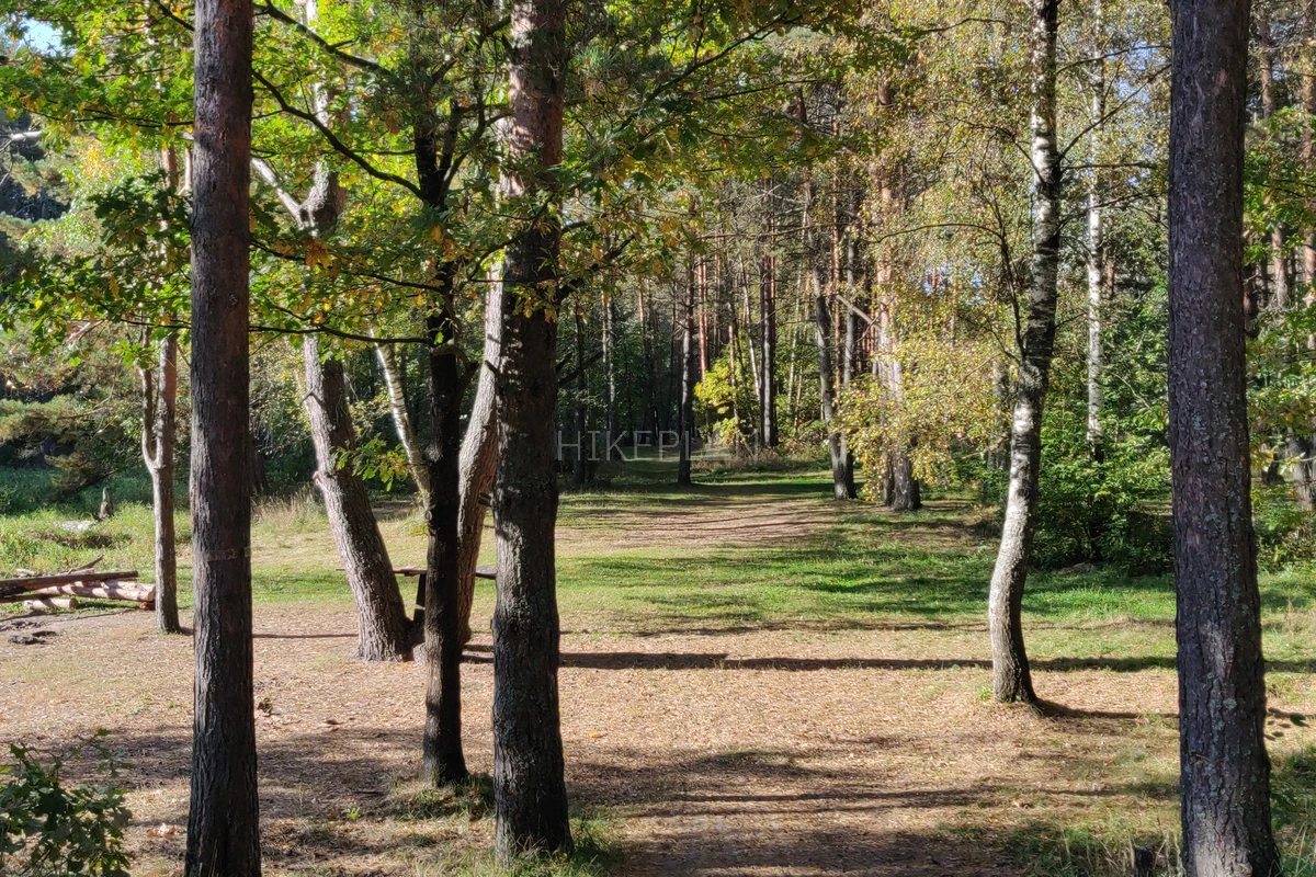 Фото маршрута