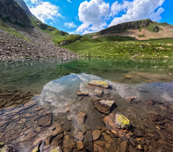 Безопасно ли пить прямо из ручья?