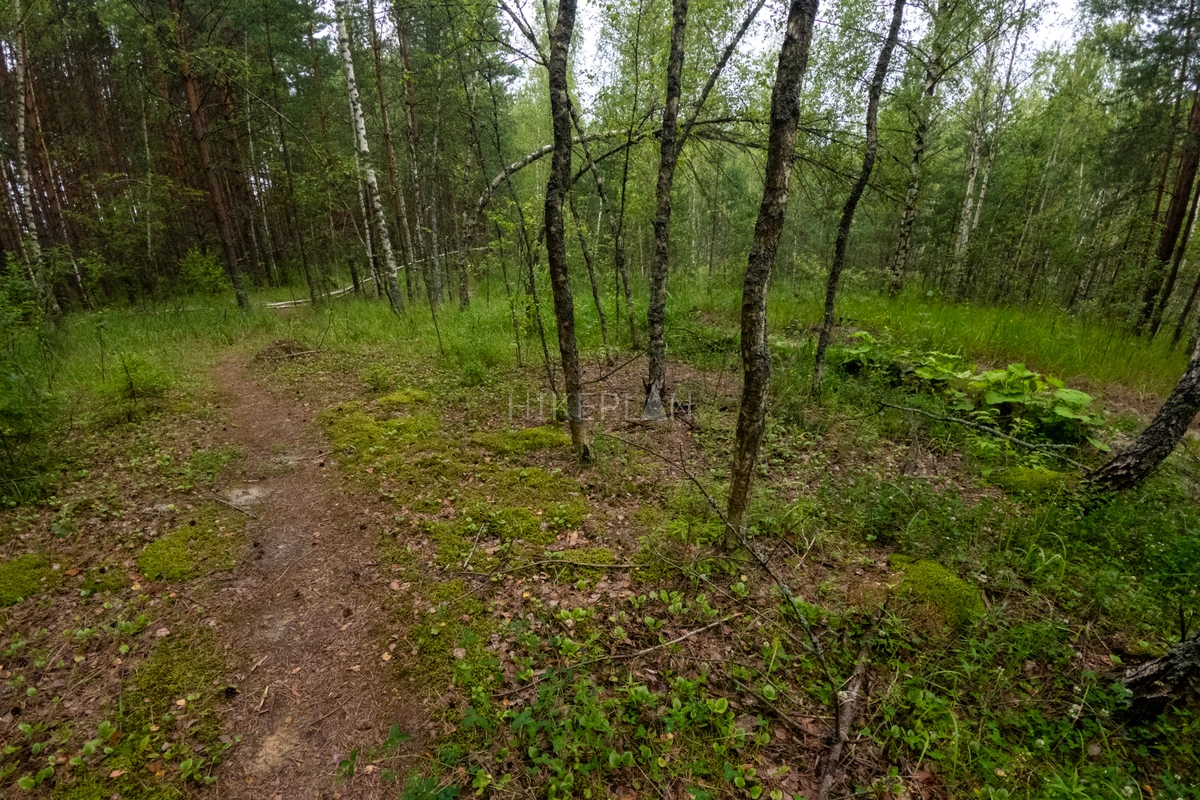 Фото маршрута