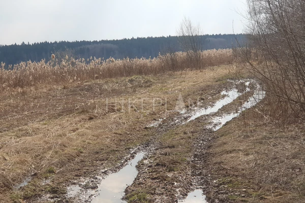 Фото маршрута
