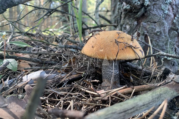 Фото маршрута