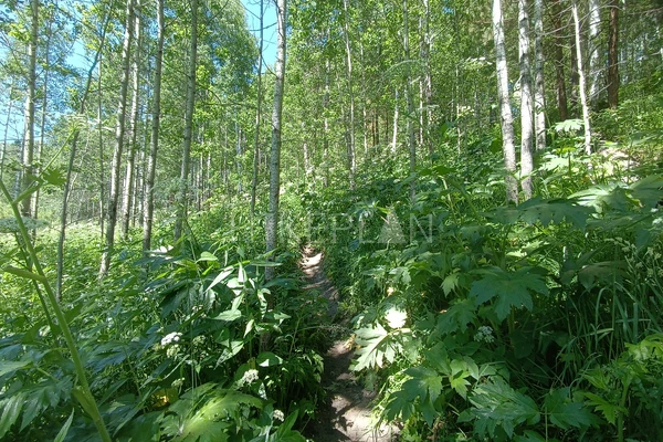 Фото маршрута